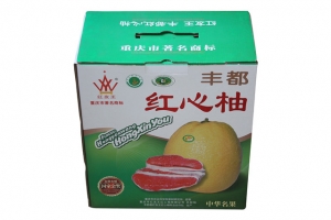 身邊常常出現塑料袋承重不行問題，你有真正了解過嗎